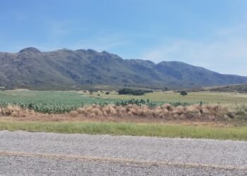 Todo lo que tenes para hacer en El Morro en San Luis