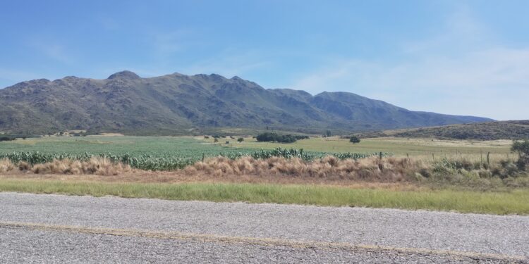 Todo lo que tenes para hacer en El Morro en San Luis