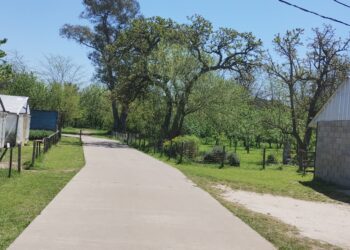 Escuela Agraria del Pereyra