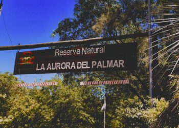 La Aurora del Palmar: Un Tesoro Natural escondido en Entre Ríos
