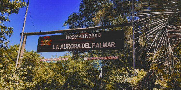 La Aurora del Palmar: Un Tesoro Natural escondido en Entre Ríos