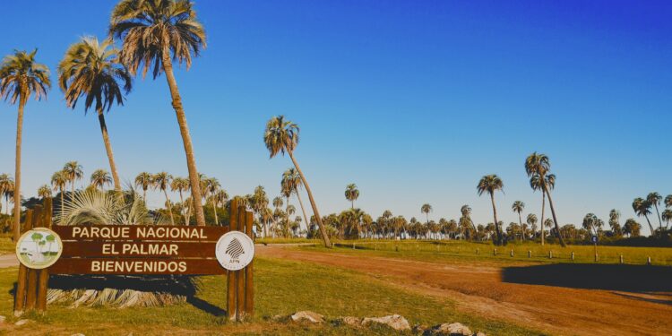 Todo lo que tenés para ver y recorrer en el Parque Nacional El Palmar