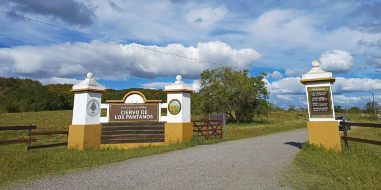 Parque Nacional Ciervo de los Pantanos: Un Oasis Natural en la Provincia de Buenos Aires